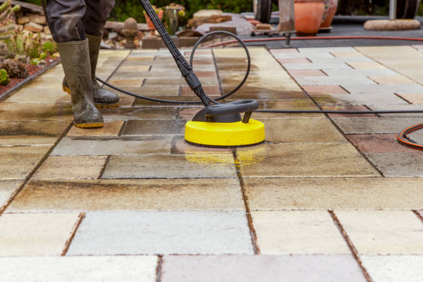 Trusted Vanceboro, NC Pressure Washing Services Experts